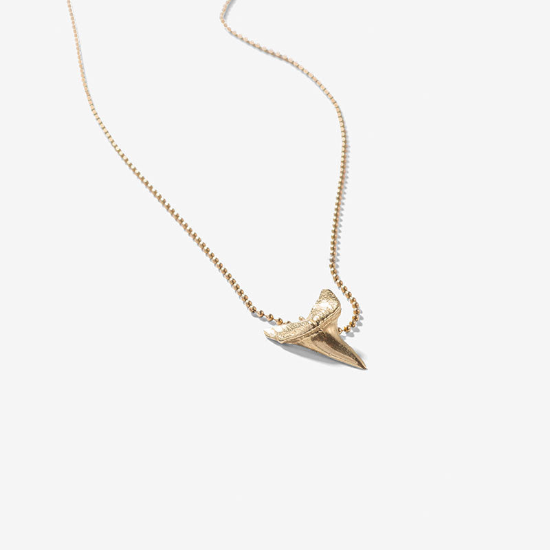 Sharks Tooth Necklace