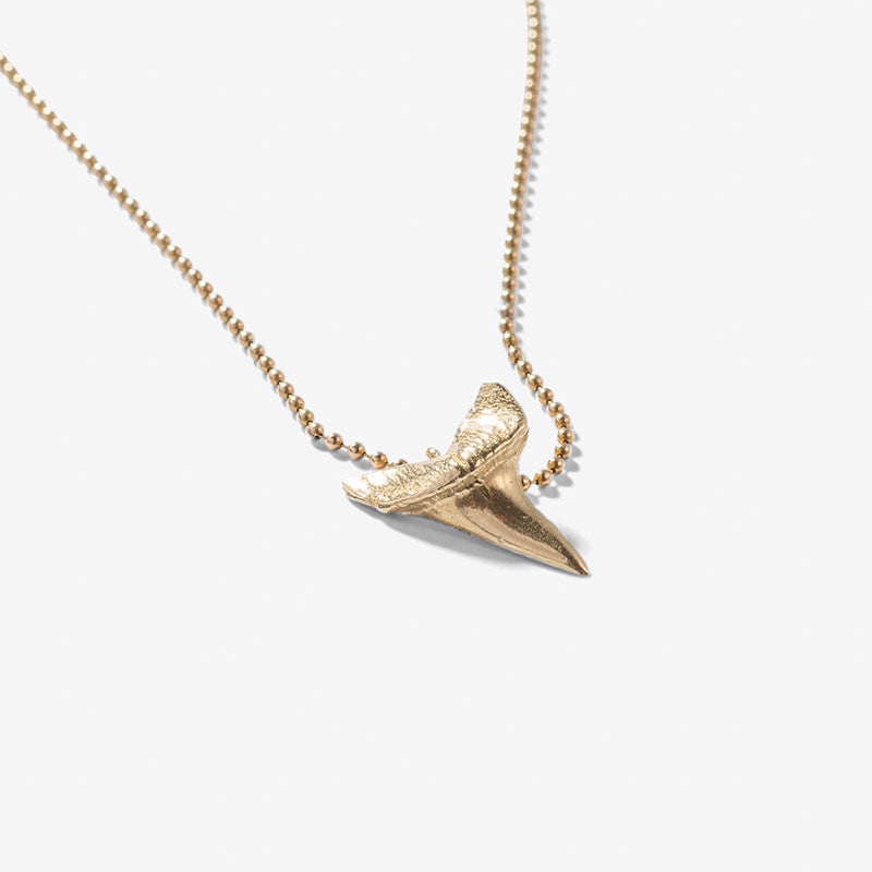 Sharks Tooth Necklace