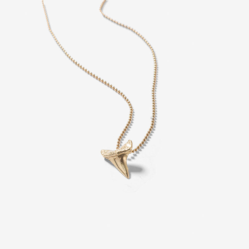 Sharks Tooth Necklace