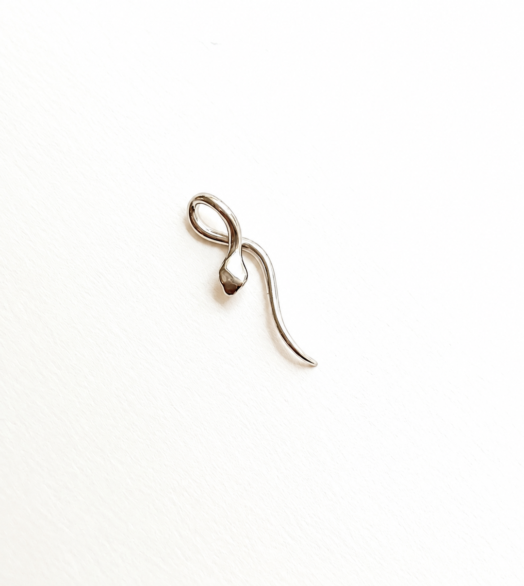 Medusa Silver Serpent Charm