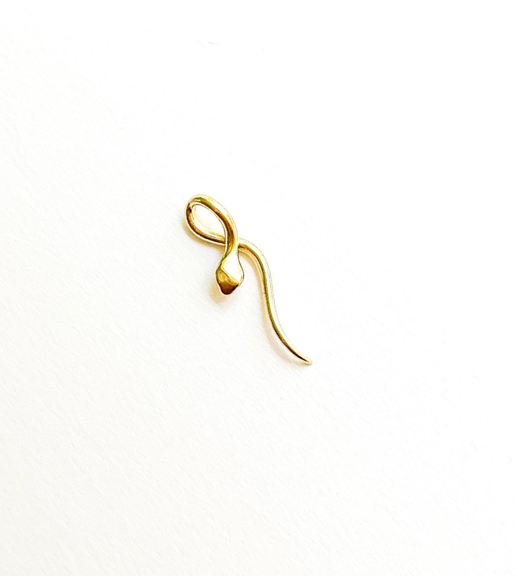 Medusa Serpent Charm