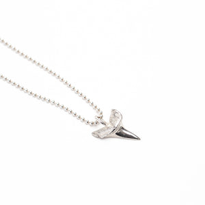 Sharks Tooth Silver Necklace