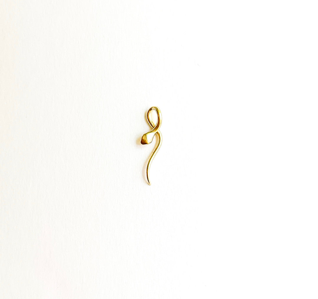 Medusa Serpent Charm
