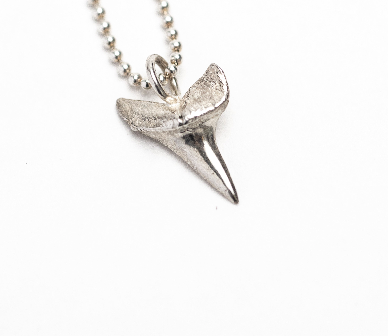 Sharks Tooth Silver Charm